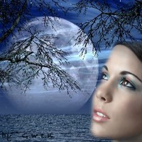 Avatar pour forum