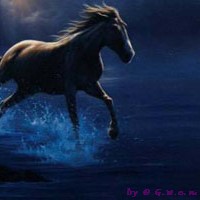 Avatar pour forum
